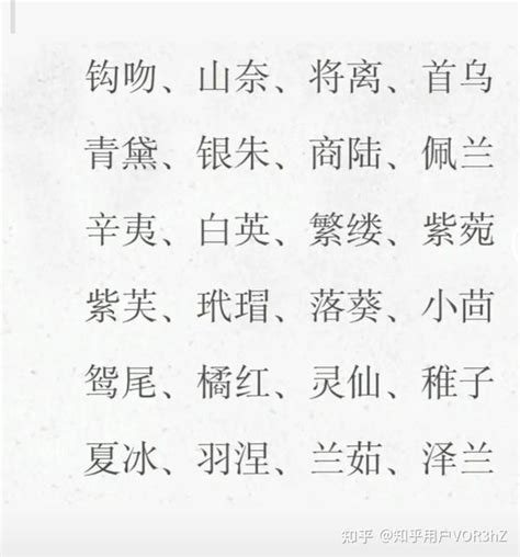 有質感的中文名字